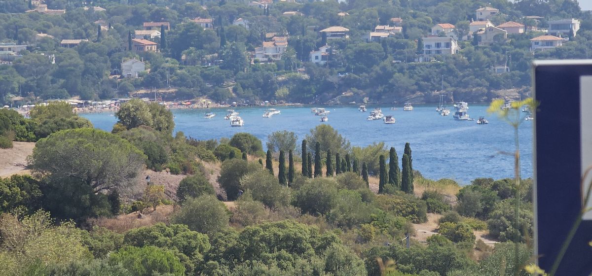 Paysage du massif de l’Estérel avec pins et roches rouges