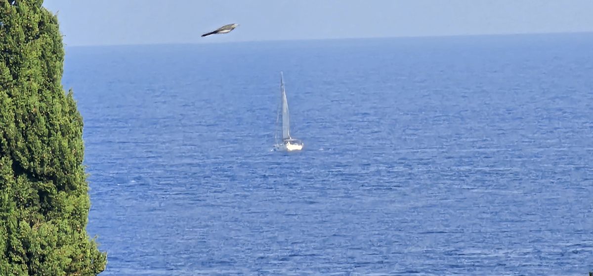 Vagues sur la plage d'Agay